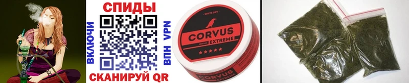 БУТИРАТ 1.4BDO Пугачёв