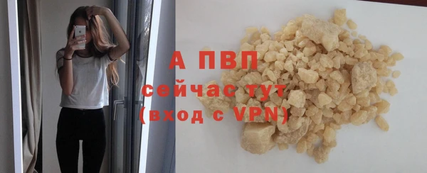 прущие грибы Пенза