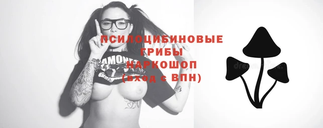 ECSTASY Барнаул